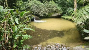 Cascata Gabriela (Floresta da Tijuca) - 33 cachoeiras imperdíveis na cidade do Rio de Janeiro - Vamos Trilhar