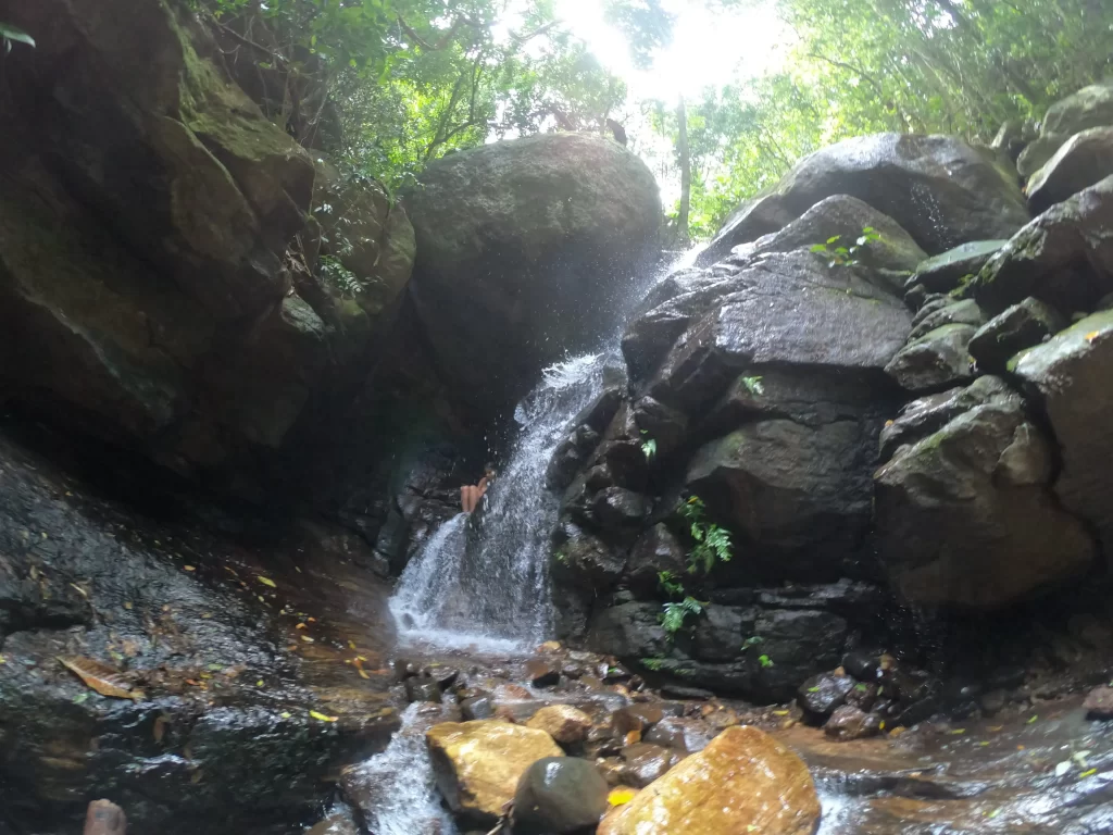 Roteiro da trilha dos Poços e Cachoeira da Imperatriz - Horto - RJ - Vamos Trilhar-min