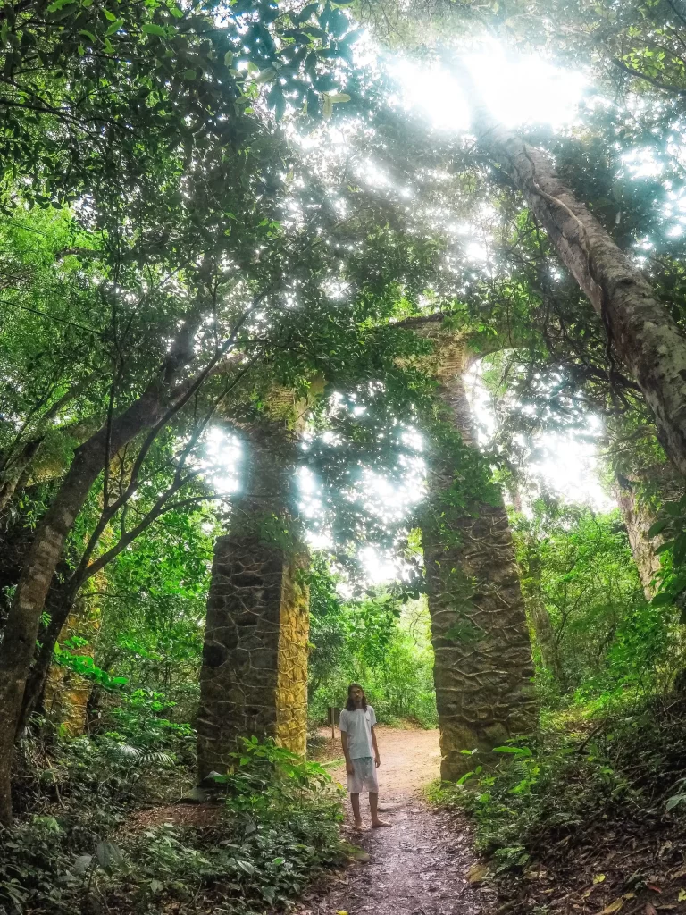 Aqueduto - Ilha Grande - RJ - Vamos Trilhar-min