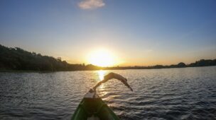 Roteiro de 4 dias de viagem pela Selva Amazônica - AM - Vamos Trilhar