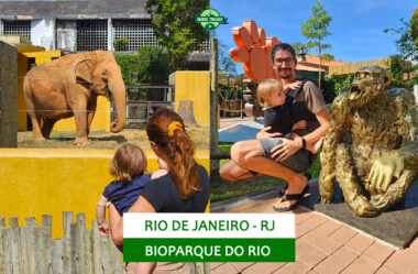 BioParque do Rio: o que fazer no zoológico do Rio de Janeiro (RJ)