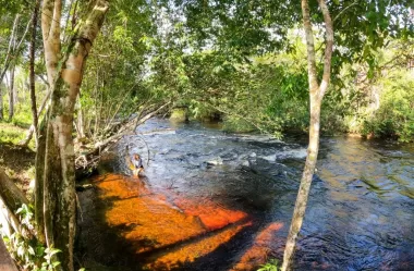 O que fazer no Amazonas: nosso roteiro de 10 dias de viagem