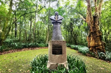 Conheça tudo sobre o Bosque do Papa – Curitiba – PR