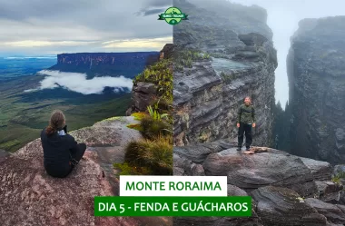 Trekking do Monte Roraima – Dia 5: Fenda e Guácharos